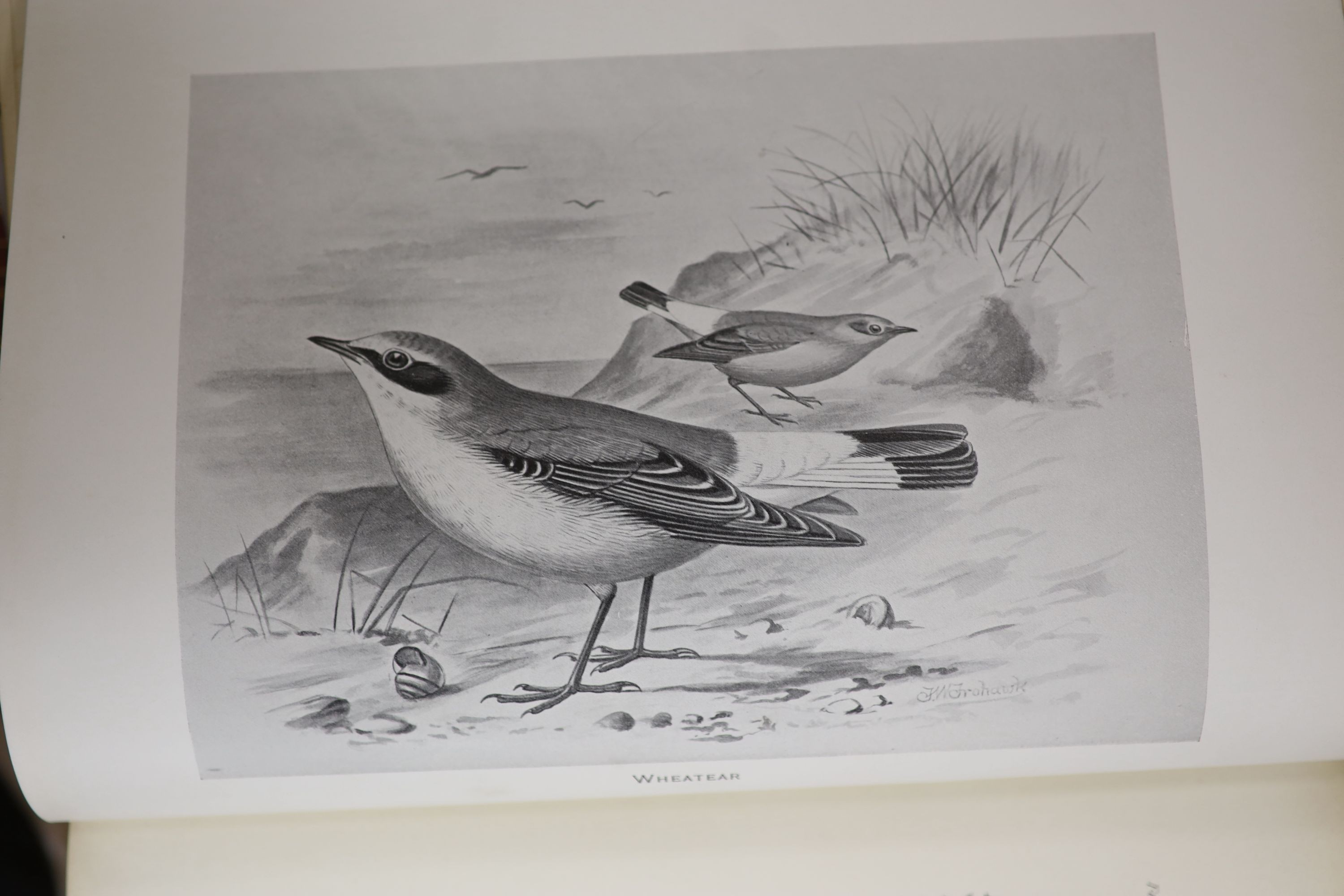 Butler, Arthur. G. - British Birds with their Nests and Eggs. 6 vols. Complete with 24 lithographic plates and a further 318 b/w plates. Original publishers cloth with large gilt pictorial and title to upper, gilt decora